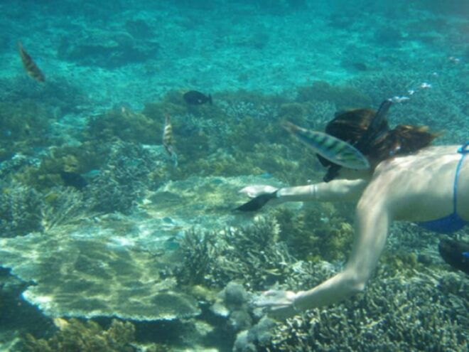 Lembongan : Fully Enjoy! Snorkeling, Sightseeing /1day Tour - Snorkeling Details