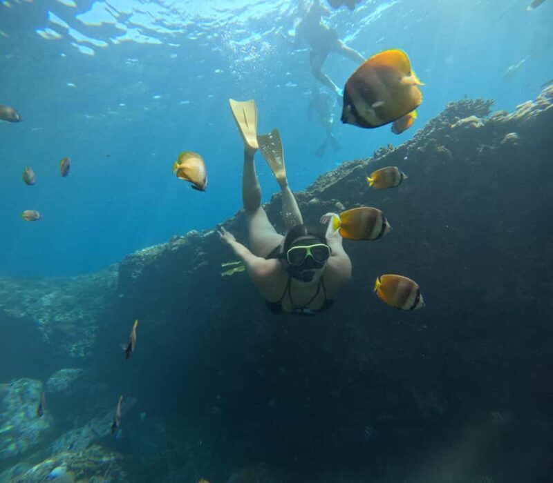 Lembongan: Manta Bay, Turtle Bay, & Gamat Bay Snorkeling - What to Expect from This Snorkeling Tour