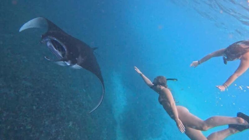 Lembongan: Manta Bay, Turtle Bay, & Gamat Bay Snorkeling - Authentic Insights from Travelers