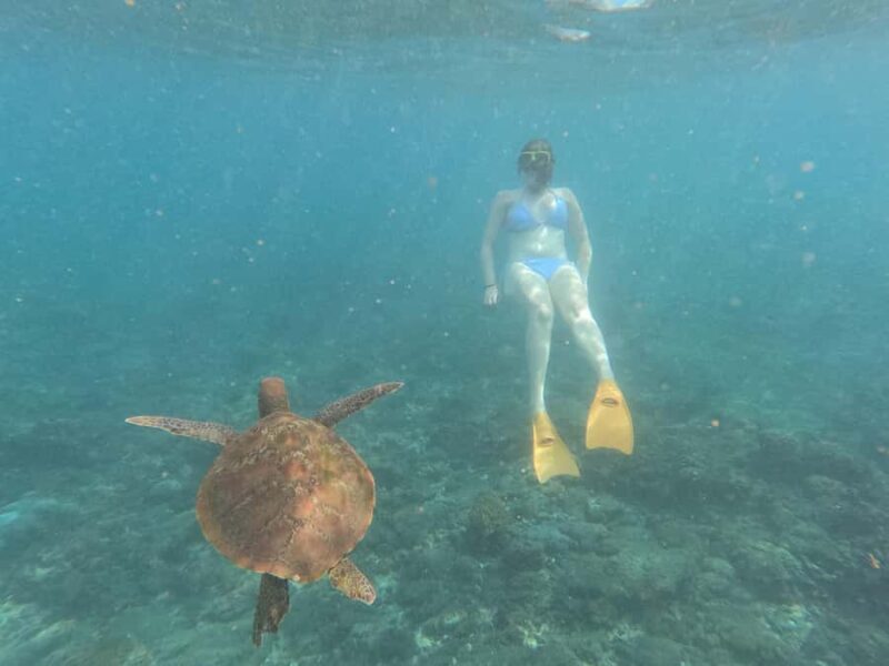 Lembongan: Manta Bay, Turtle Bay, & Gamat Bay Snorkeling - Final Thoughts: Is This Tour Right for You?