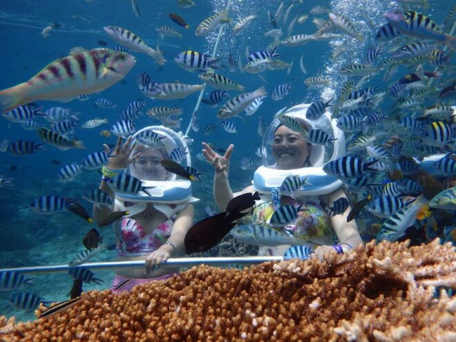 Lembongan: Seawalker and Lembongan Tour 3 Spots - Tour Highlights
