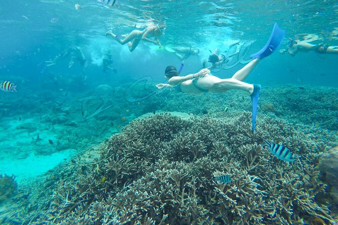 Lembongan Snorkeling and Day Tour - Pickup Points