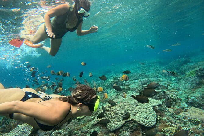Lembongan Snorkeling at Manta Bay, Crystal Bay and Mangrove - What to Expect from Your Snorkeling Tour