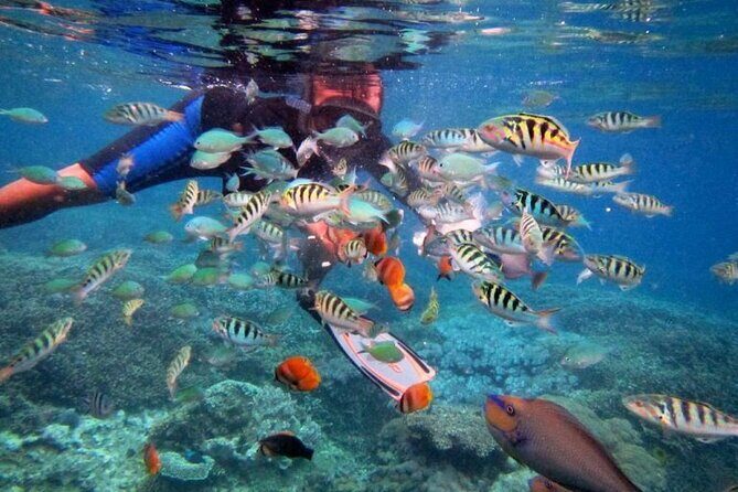 Lembongan Snorkeling Swim With Manta Rays and Island Tour - Snorkeling Experience: What You’ll Really Get