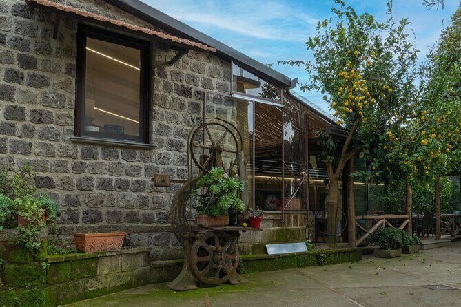 LEMO' Restaurant tasting Experience - Food Options & Meal Choices