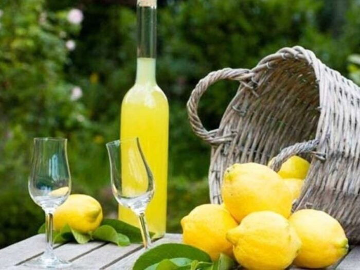 Lemon Experience With Limoncello Demonstration - Whats Included in the Experience