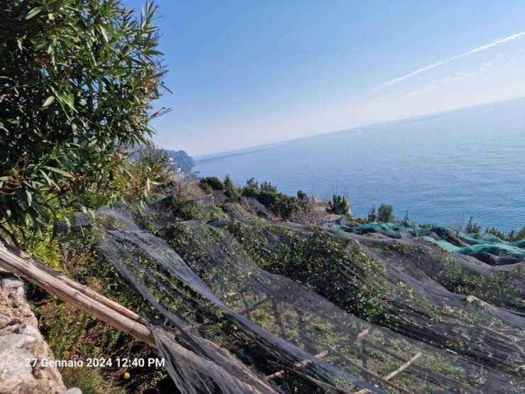 Lemon Path - Amalfi Coast - Highlights