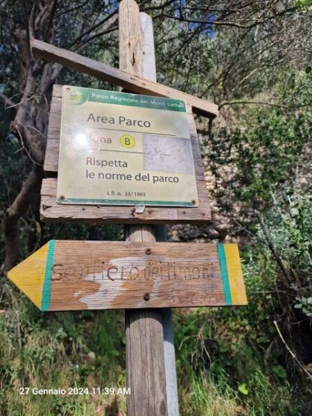 Lemon Path - Amalfi Coast - Background