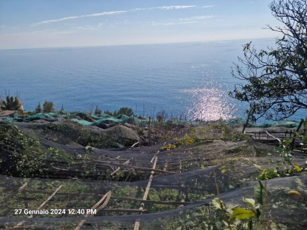 Lemon Path - Amalfi Coast - Directions