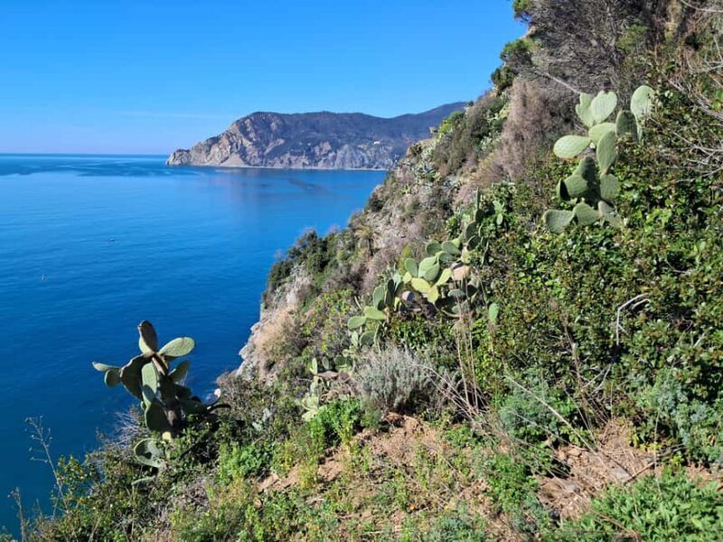Lemon tour with limoncino and wine tasting in Vernazza (Cinque Terre) - Starting Point and First Stops