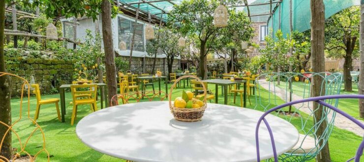 Lemon Tour With Lunch/Dinner - Tour Overview