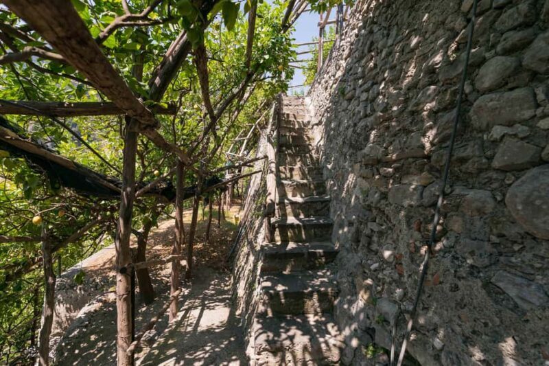 Lemons & Breathtaking Views: Amalfi Monumental Garden Tour - Good To Know