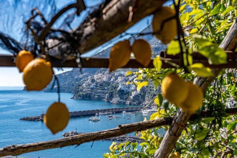 Lemons & Breathtaking Views: Amalfi Monumental Garden Tour - Who Might Want to Consider Other Options?