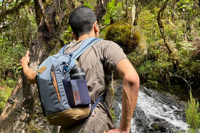 Lemosho Route Seven Days - Tips and Recommendations