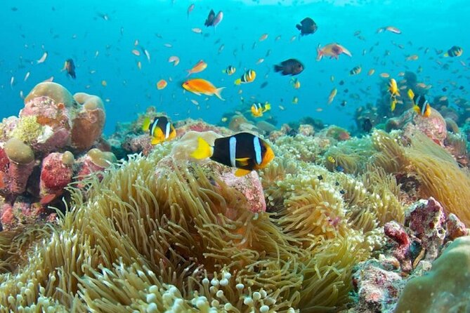 Lempuyang and Blue Lagoon Snorkeling - Cancellation Policy