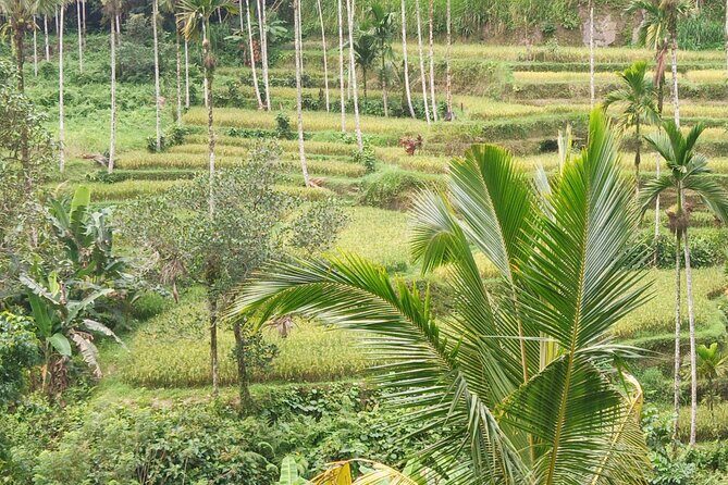 Lempuyang Gate Heaven, tirta gangga & tukad cepung waterfall - Who Will Enjoy This Tour?
