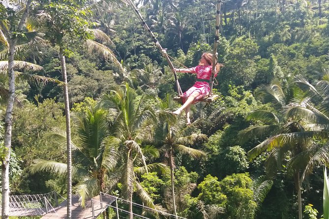 Lempuyang Gate of Heaven, Tirta Gangga & Tukad Cepung Waterfall - Tour Highlights