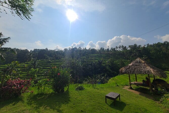 Lemukih Hidden Trekking Waterslide Sekumpul and Fiji Waterfall - Exploring North Bali’s Natural Beauty