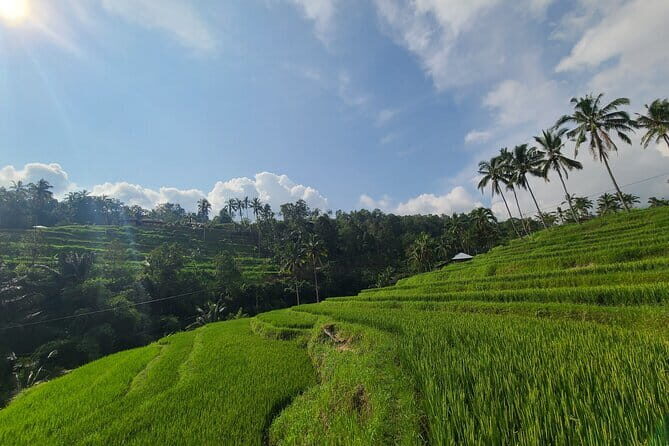 Lemukih Hidden Trekking Waterslide Sekumpul and Fiji Waterfall - Final Thoughts: Is This Tour Worth It?