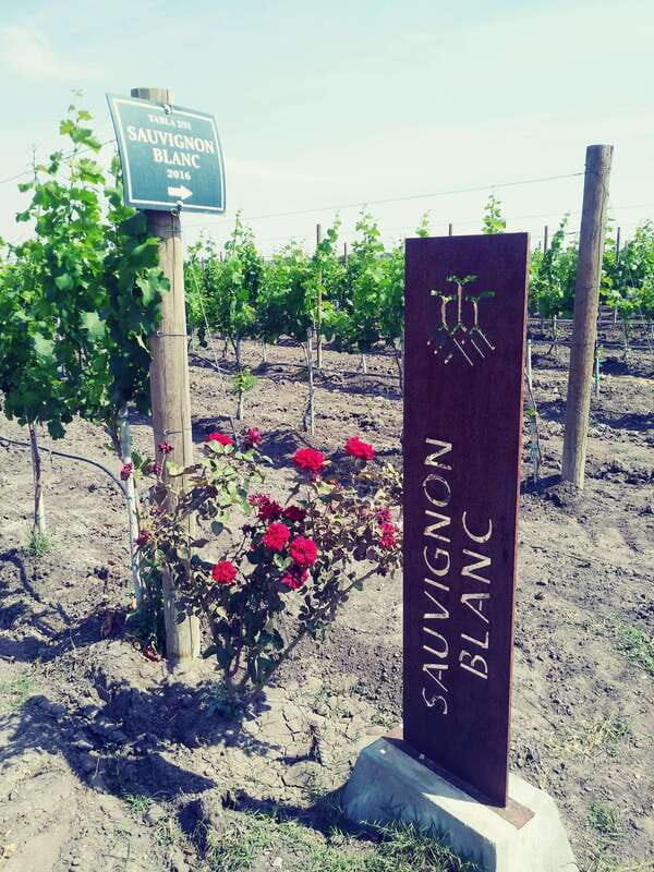 Leon: Dolores Hidalgo Viñedo Tres Raíces Wine Tour - Good To Know