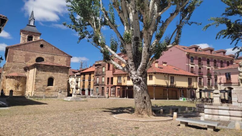 León: Guided tour by a local art historian - Good To Know