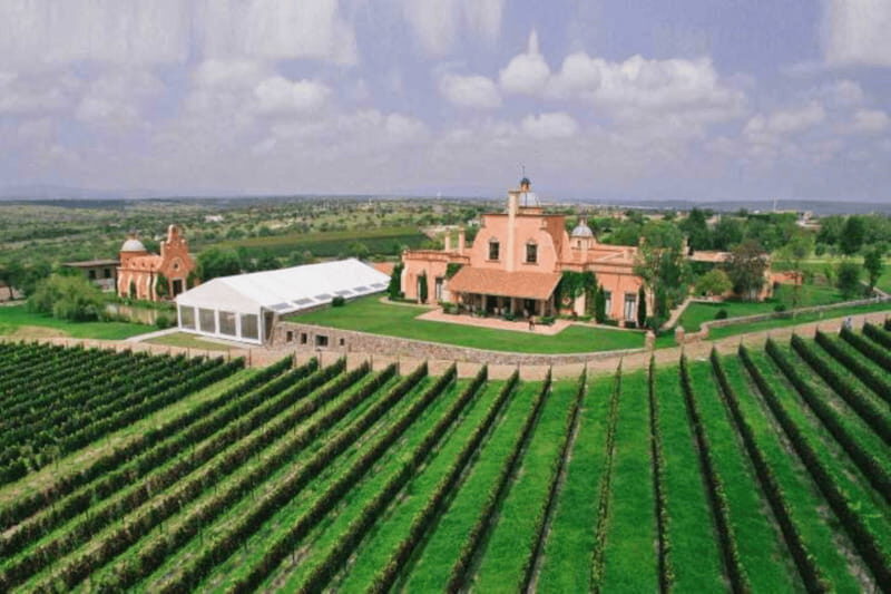 Leon: Viñedo Tierra de Luz Tour with Wine Tasting - Practical Tips for a Great Experience
