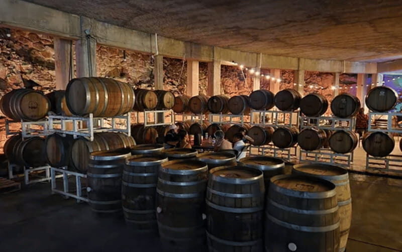 León: Wine Tasting & Vineyard Tour at Viñedo Jalpense - FAQ