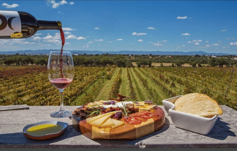 León: Wine Tour at Viñedo Leones & City Center Exploration - Who Is This Tour Best For?