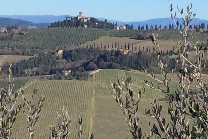 Leonardo Da Vinci Voyage With Olive Oil, Food and Wine Dream - Additional Information