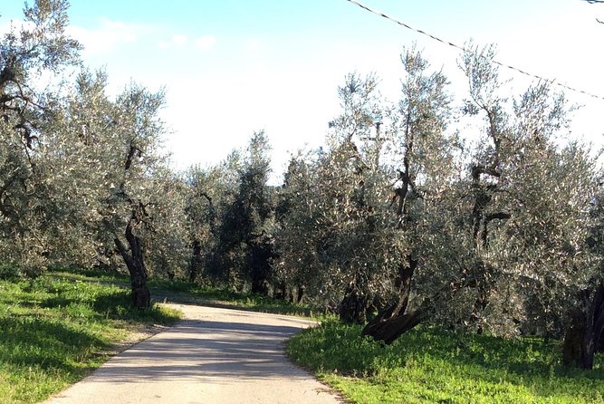 Leonardo Da Vinci Voyage With Olive Oil, Food and Wine Dream - Frequently Asked Questions