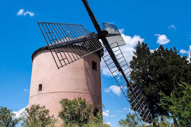 Leonardo Da Vincis Wind Mill Visit and Organic Olive Oil Tasting - Good To Know