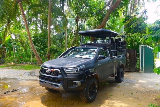 Leopard Half Day Yala National Park Eleven Safari - Final Thoughts: Is It Worth It?