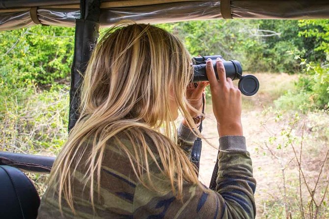Leopard Safari Tour in Yala National Park - Best Time to Visit Yala National Park