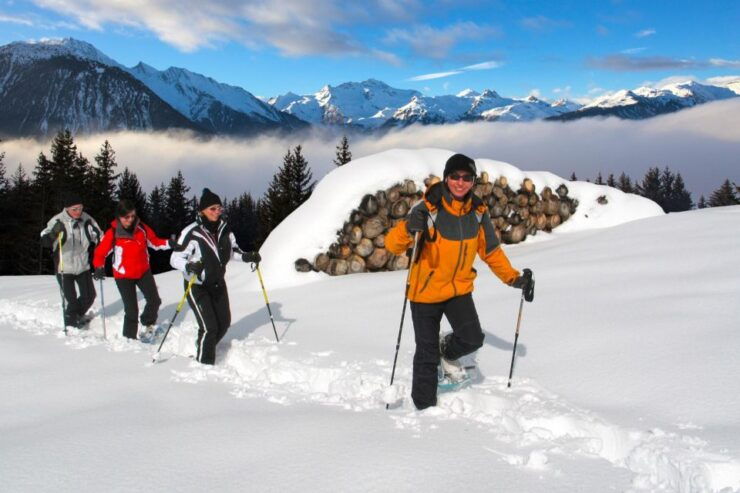 Les Menuires: Life Is Better in Snowshoes - Booking Details