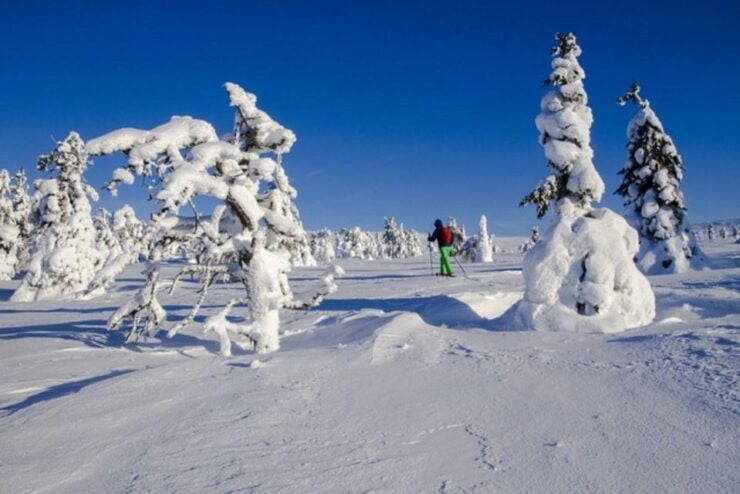 Les Menuires: Snowshoe Walk in Heart of an Alpine Refuge - Experience and Highlights