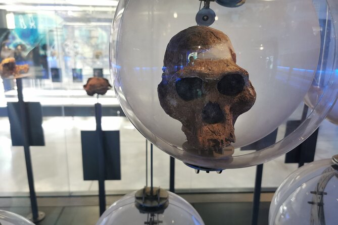 Lesedi Cultural Village and Cradle of Humankind Tour - Background