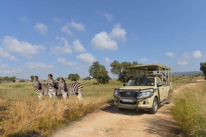 Lesedi Cultural Village and Lion Park Day Tour From Johannesburg - The Sum Up
