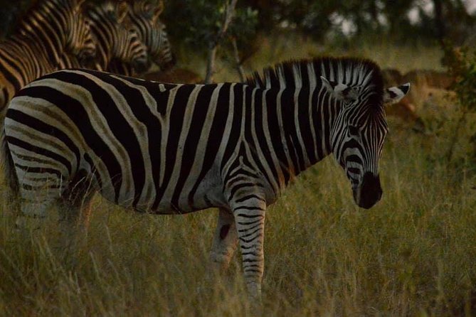 Lesedi Cultural Village and Lion Park Tour - Price