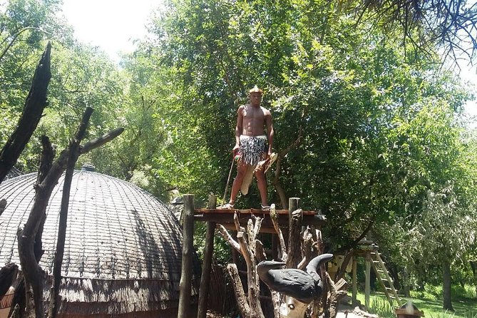 Lesedi Cultural Village and Lion Park Tour - The Sum Up