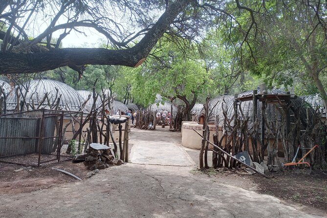 Lesedi Cultural Village & Crudle of Humankind Guided Tour - Assistance and Support