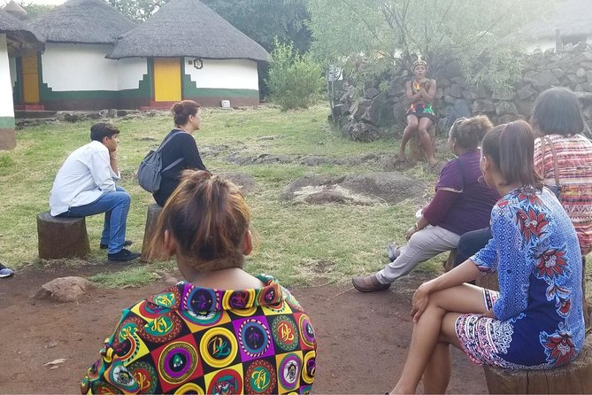Lesedi Cultural Village - Half Day Tour - Pricing and Customer Reviews