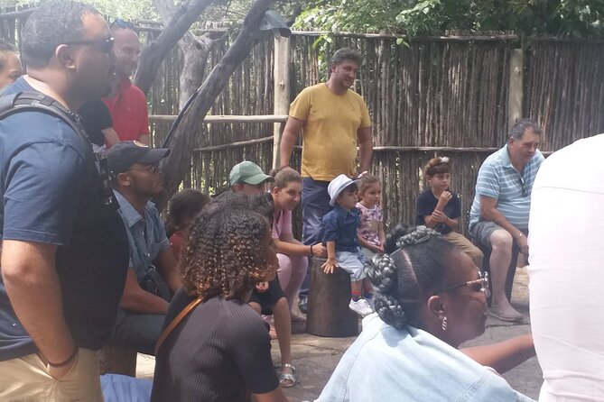 Lesedi Cultural Village Tour - Reviews and Ratings