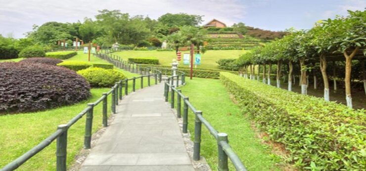 Leshan Buddha, Tea House&Mt. Emei 2 Days Private Tour - Highlights