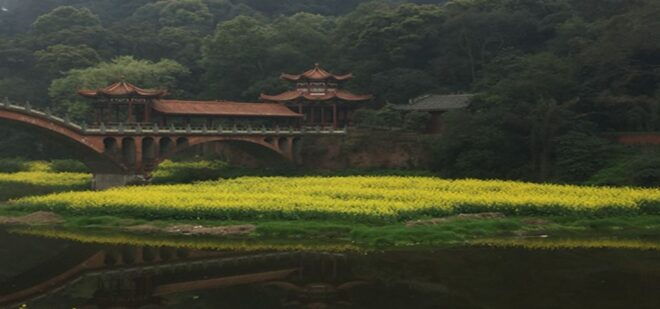 Leshan Buddha, Tea House&Mt. Emei 2 Days Private Tour - Inclusions