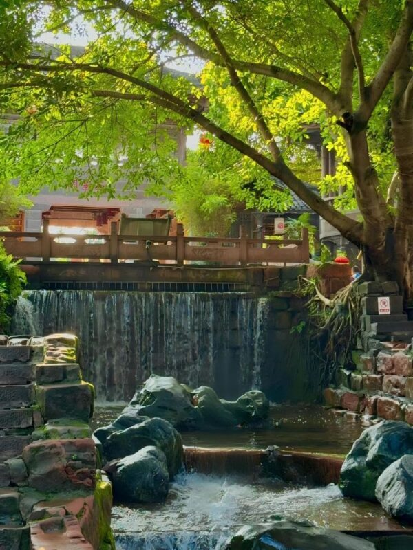 Leshan Giant Buddha & Huanglongxi Old Town Full-Day Tour - Lunch: useful, but keep expectations modest