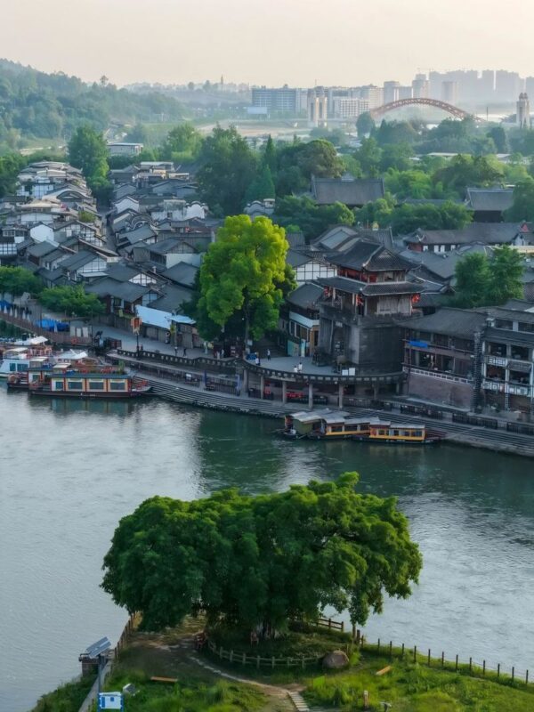 Leshan Giant Buddha & Huanglongxi Old Town Full-Day Tour - Huanglongxi’s old lanes and cool stream