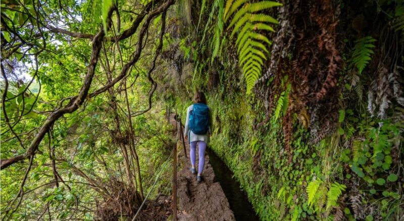 Leshan Giant Buddha Private Tour & Jurassic Expedition - FAQ