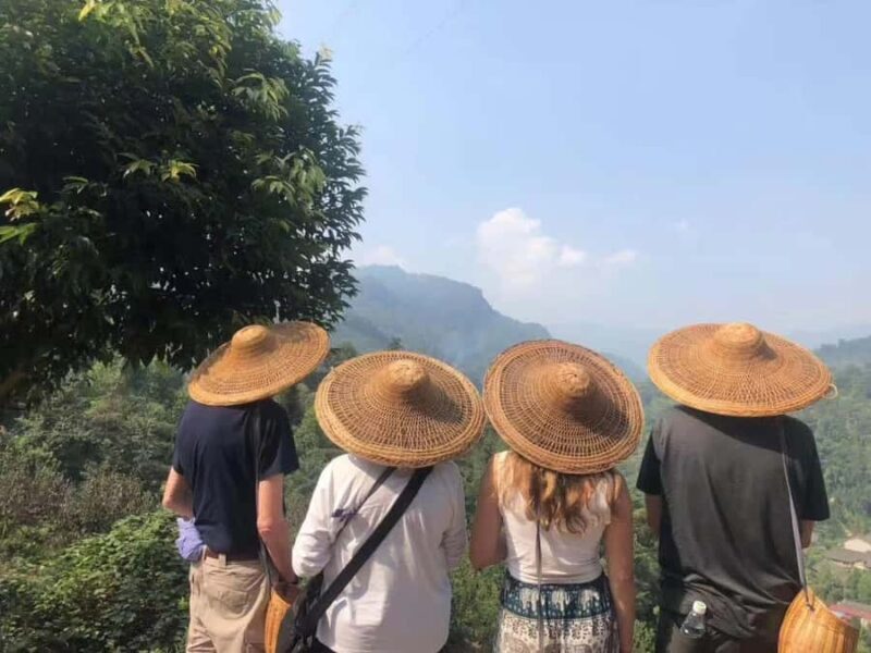 Leshan: Giant Buddha, Tea Village, and Old town Day Trip - Discovering the Leshan Giant Buddha