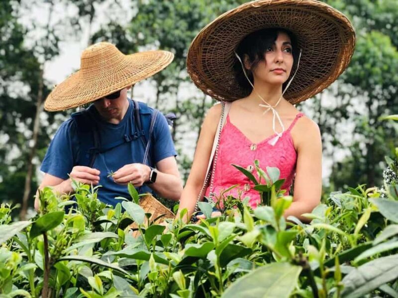 Leshan: Giant Buddha, Tea Village, and Old town Day Trip - Good To Know