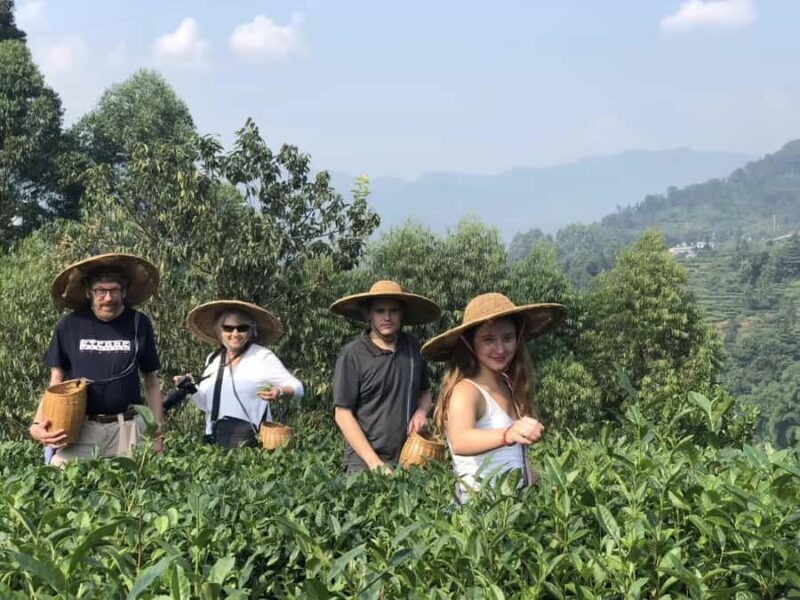 Leshan: Giant Buddha, Tea Village, and Old town Day Trip - Authentic Sichuan Cuisine and a Cultural Lunch